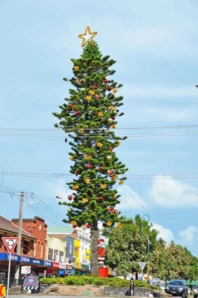 very tall Christmas tree