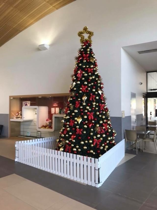 large indoor decorated Christmas tree