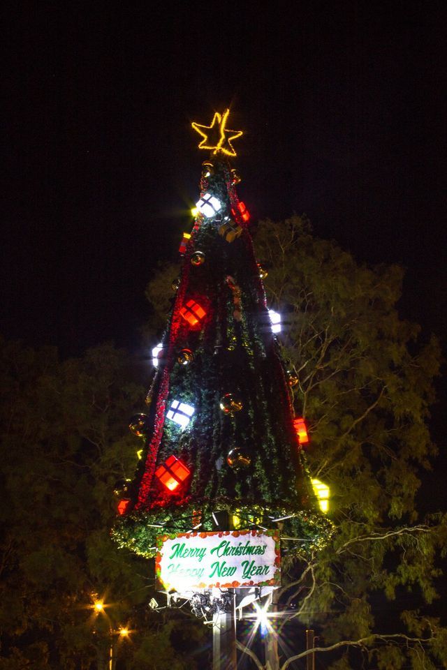 Christmas tree glowing at night