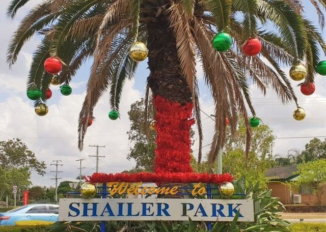 palm tree with Christmas decorations