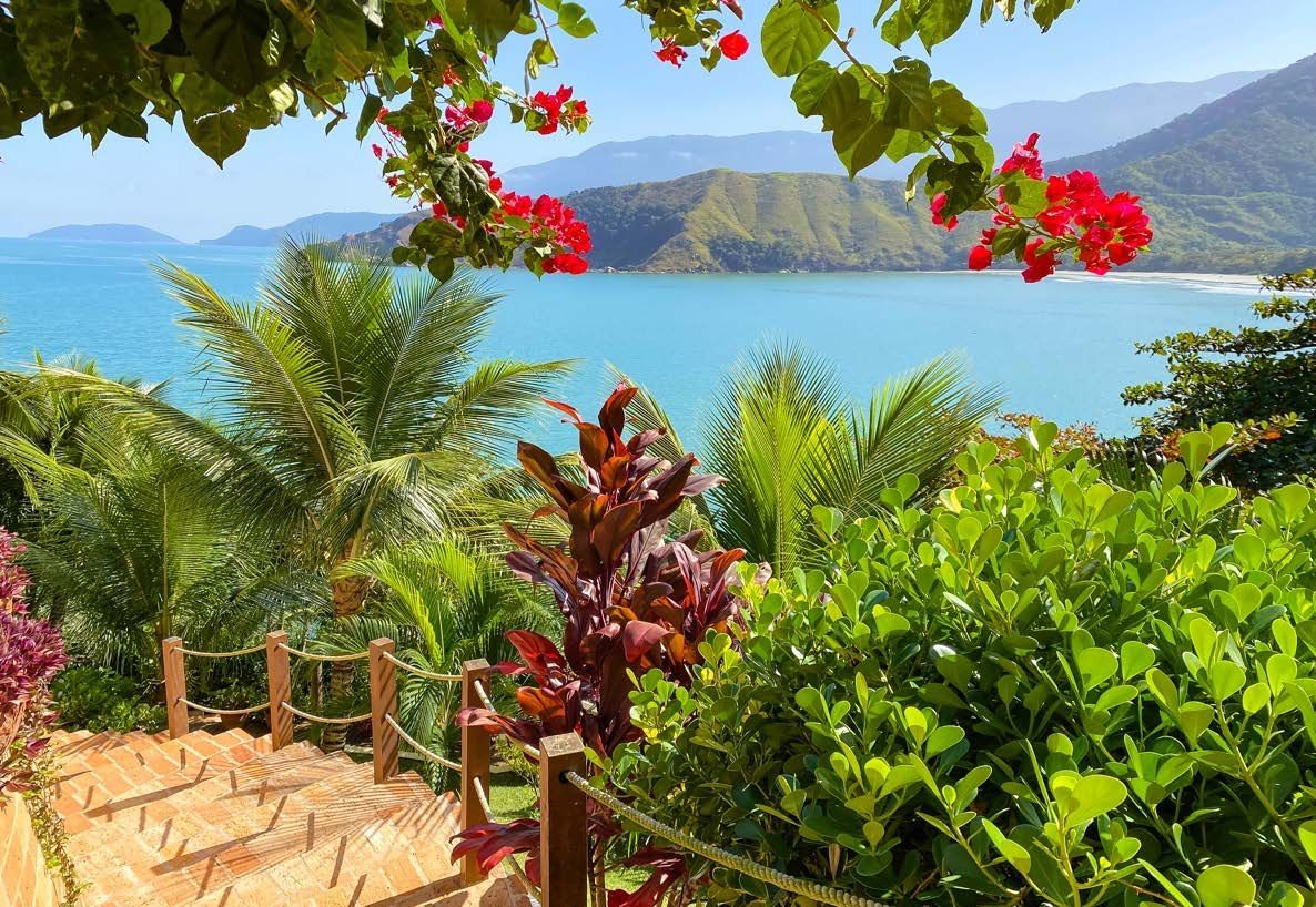 Uma vista do oceano através de uma cerca com flores em primeiro plano.