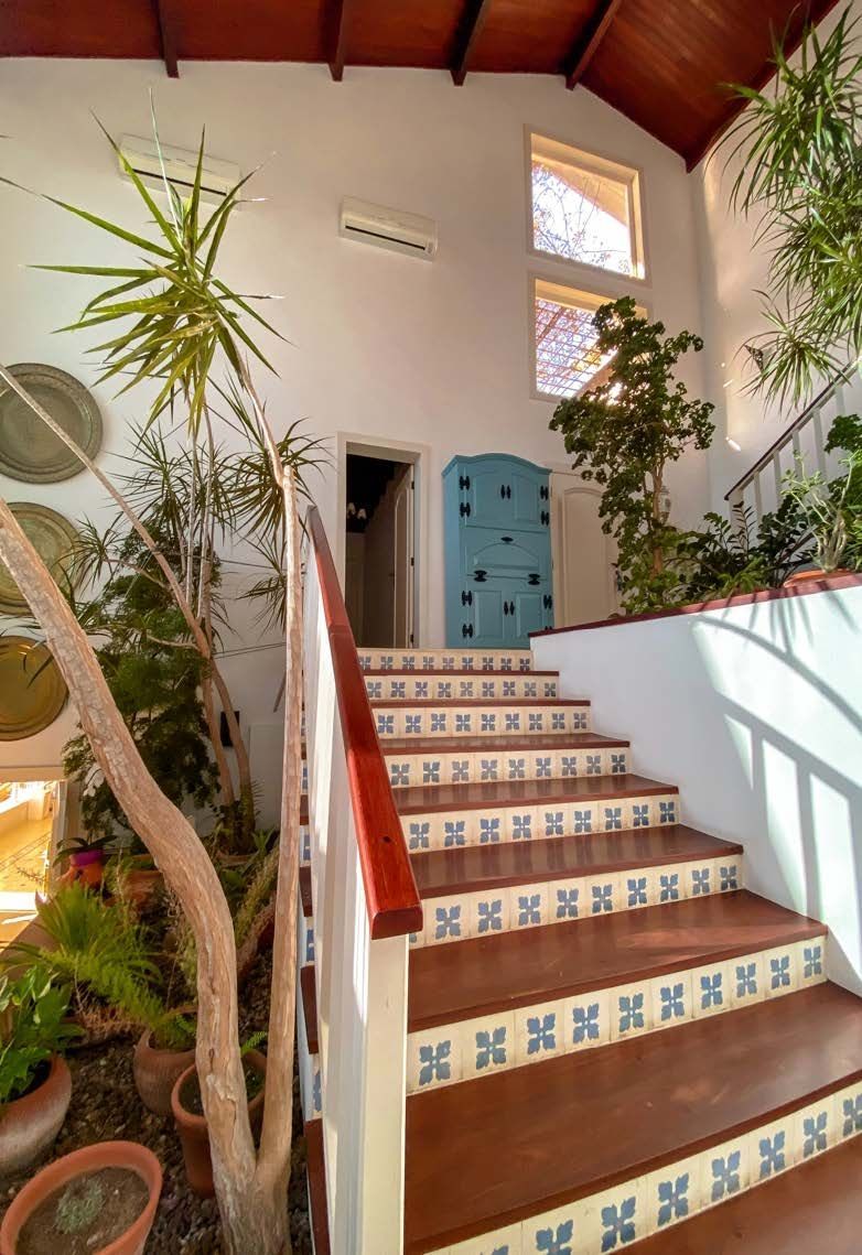 Um conjunto de escadas que leva a uma sala com plantas e uma porta azul.