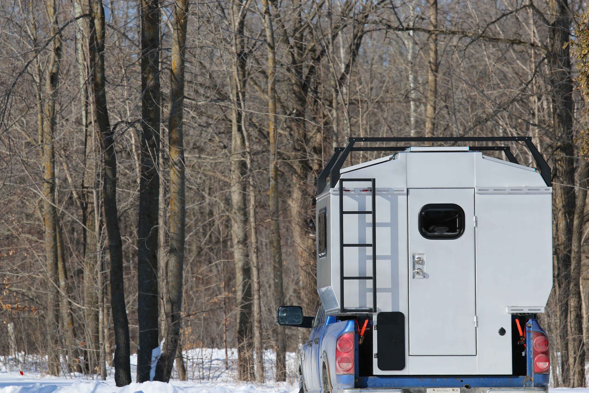 White camper shell on a pickup truck in a snowy forest, black ladder, and rack on top.