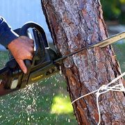 Man Cutting Down a Tree — Houston, TX — Houston Tree Service Team