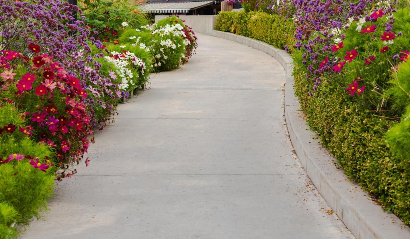 Winding concrete path through a garden with vibrant flowers in shades of red, pink, purple, and white.
