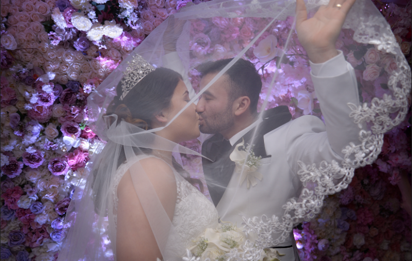 A bride and groom are kissing under a veil.