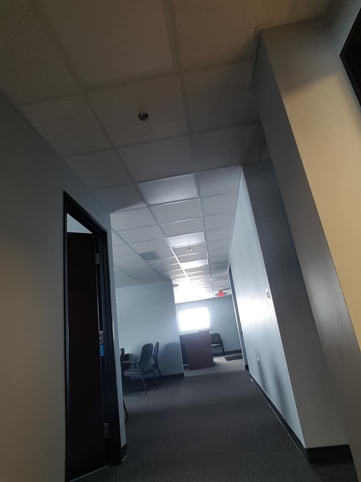 new acoustic ceiling and grid