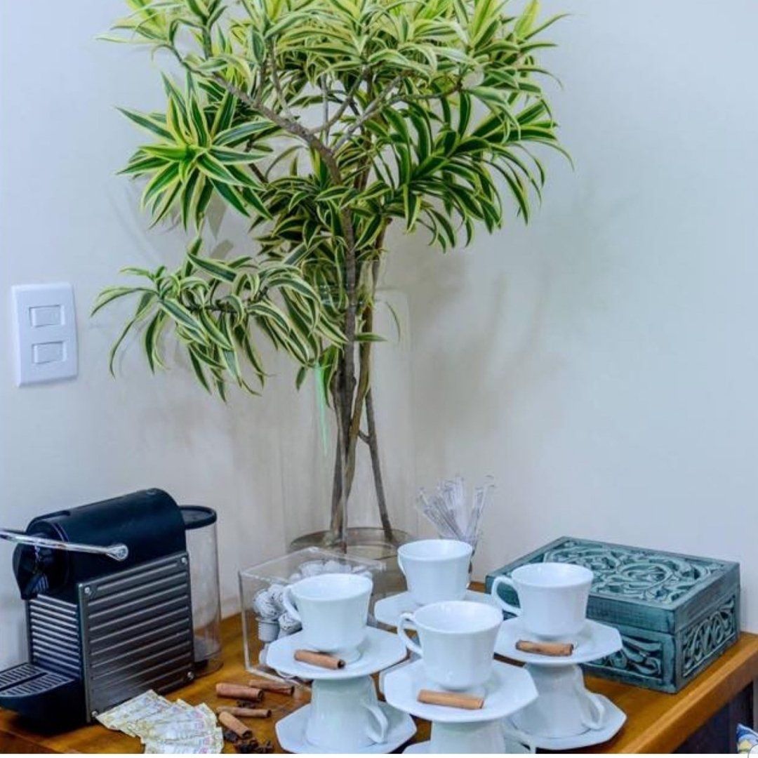 Uma mesa com xícaras e pires e uma planta sobre ela