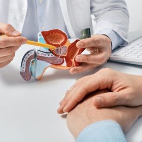 Il medico indica un modello anatomico dell'apparato urogenitale maschile e spiega come funziona a un paziente.