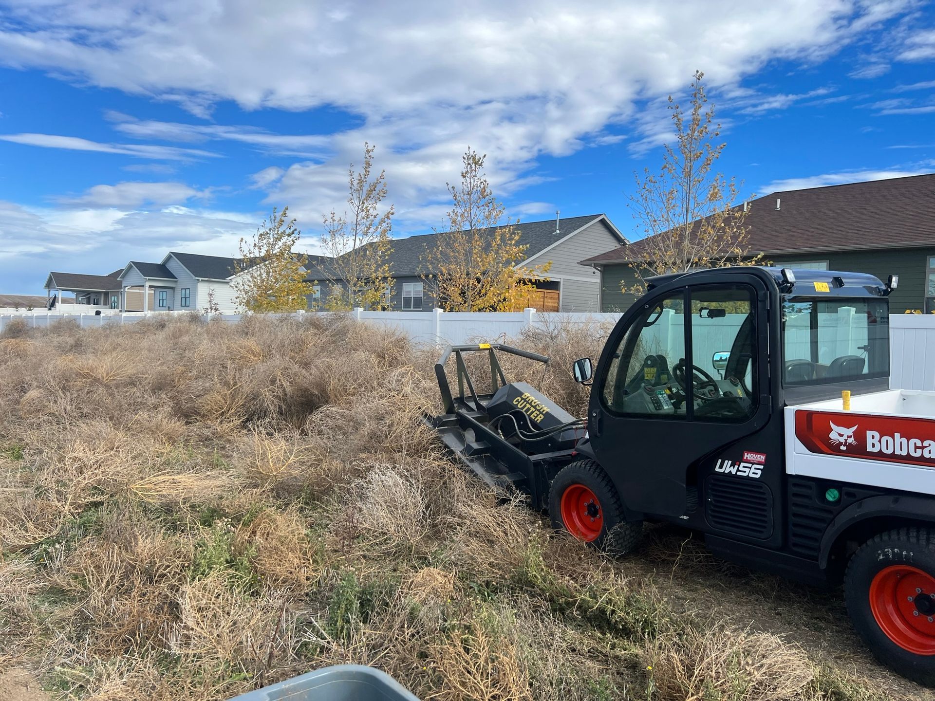 Bobcat utility vehicle cutting overgrown dry grass near a white fence and houses under a blue sky.