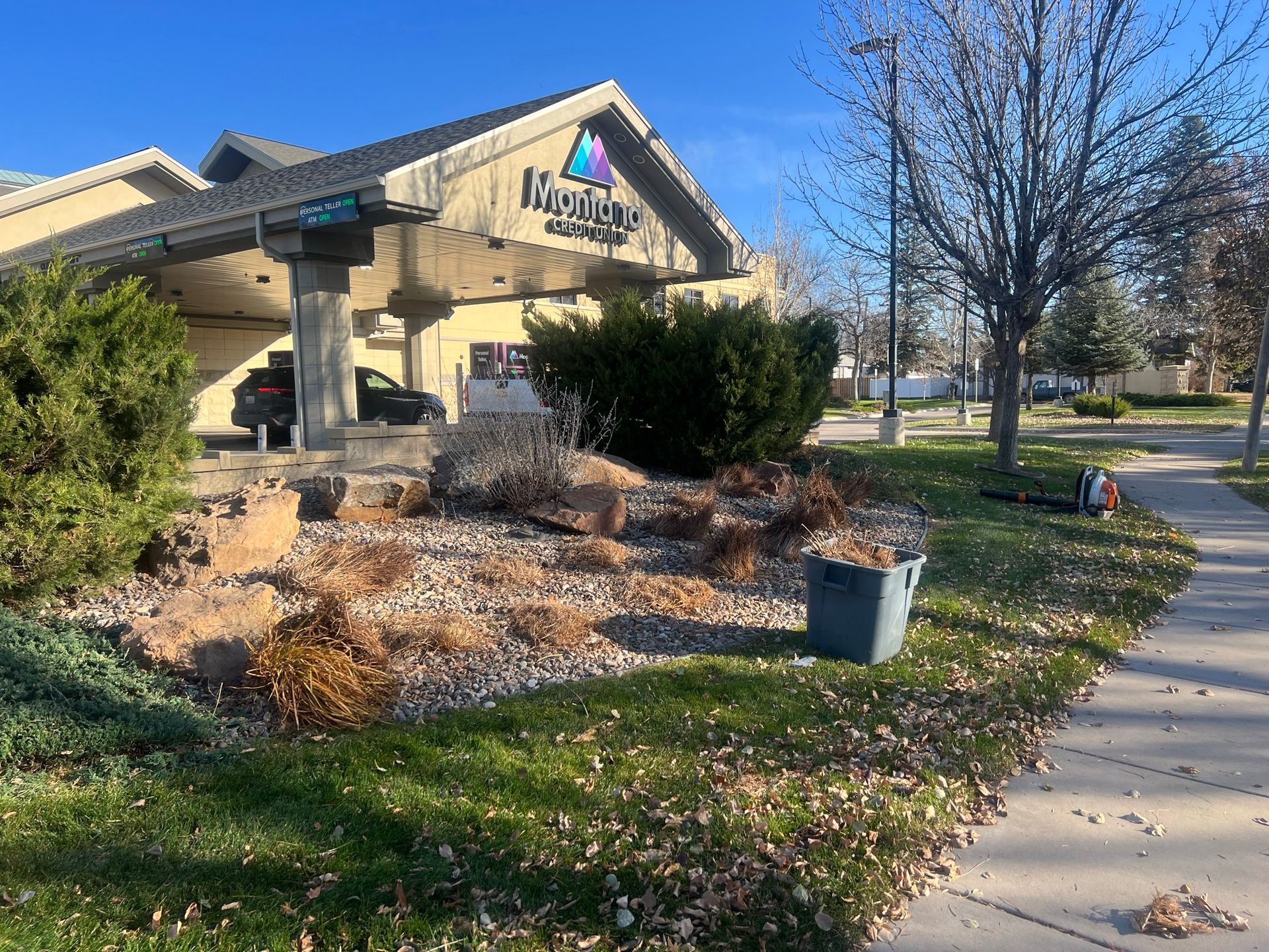 Building entrance with landscaping: dry plants, a gray trash can, and a sidewalk.