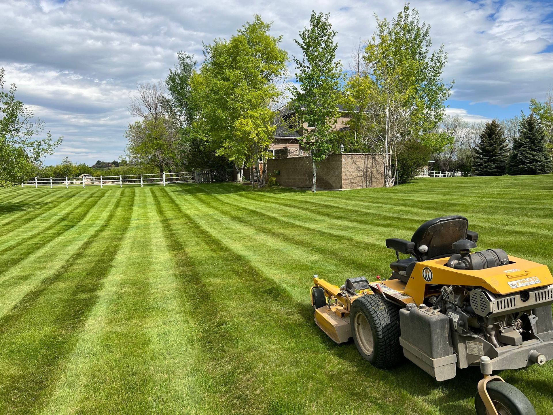 Yellow riding lawnmower mowing green grass in a residential yard, with trees and sky in the background.