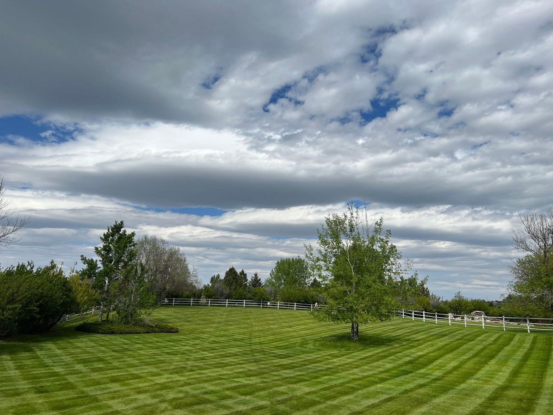 Green lawn with striped mowing pattern under a cloudy sky with trees and a white fence.