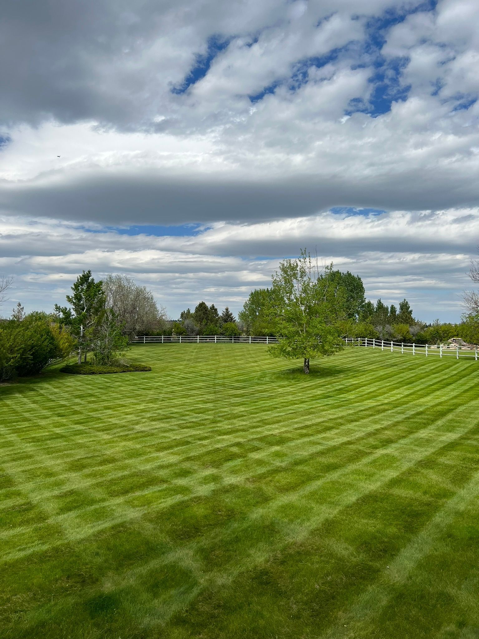 Lush green lawn with striped mowing pattern, several trees, and a cloudy sky.