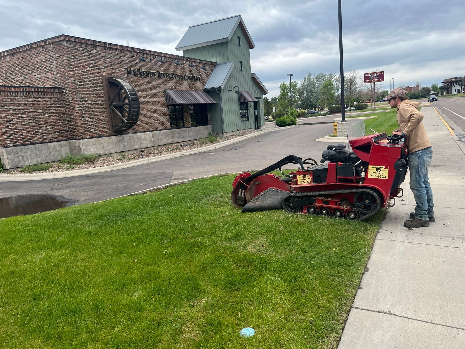 Man operating stump grinder on grassy verge next to a sidewalk. Building in background.