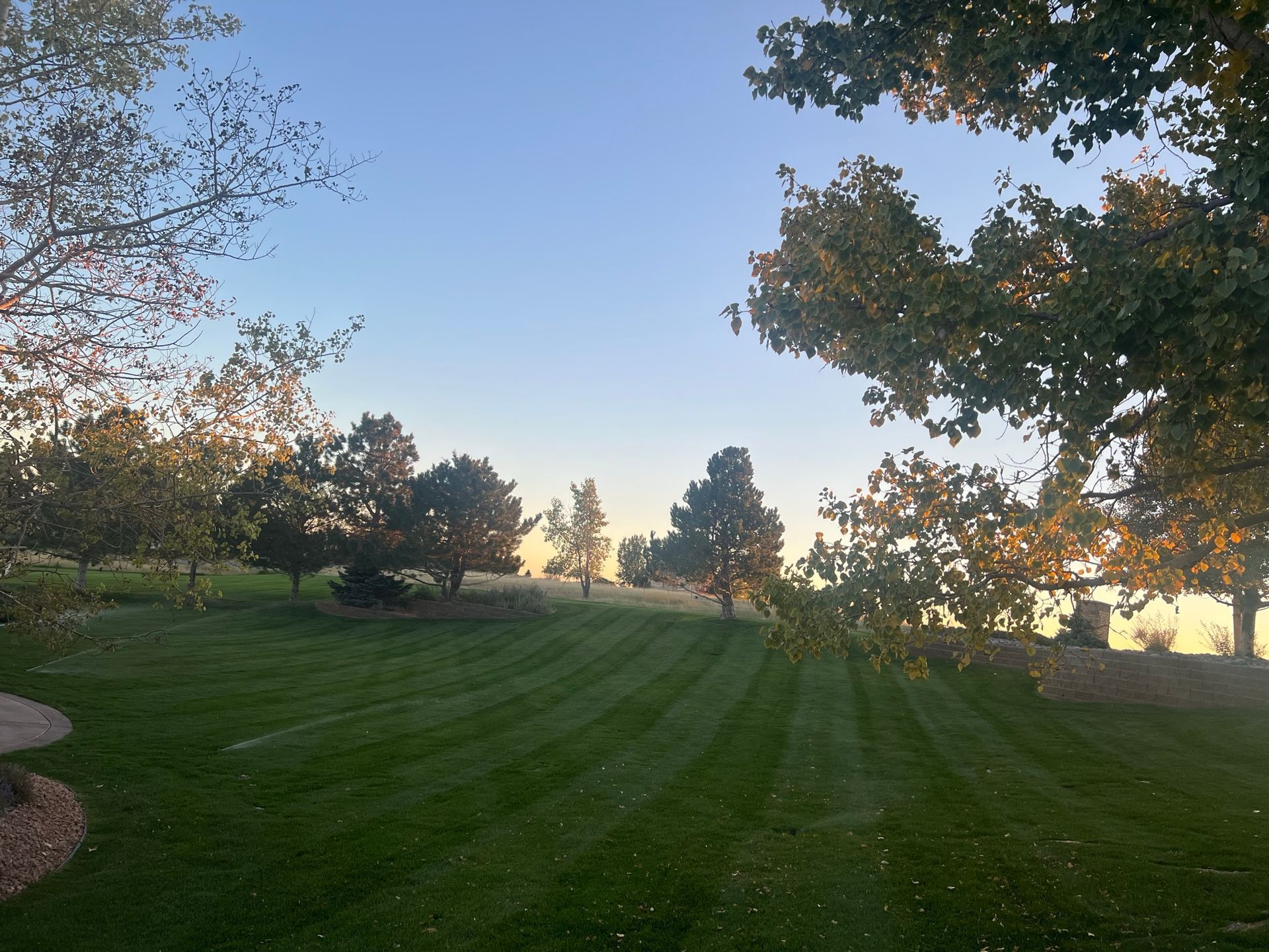 Lawn with cut grass, trees, and a light blue sky in the background.