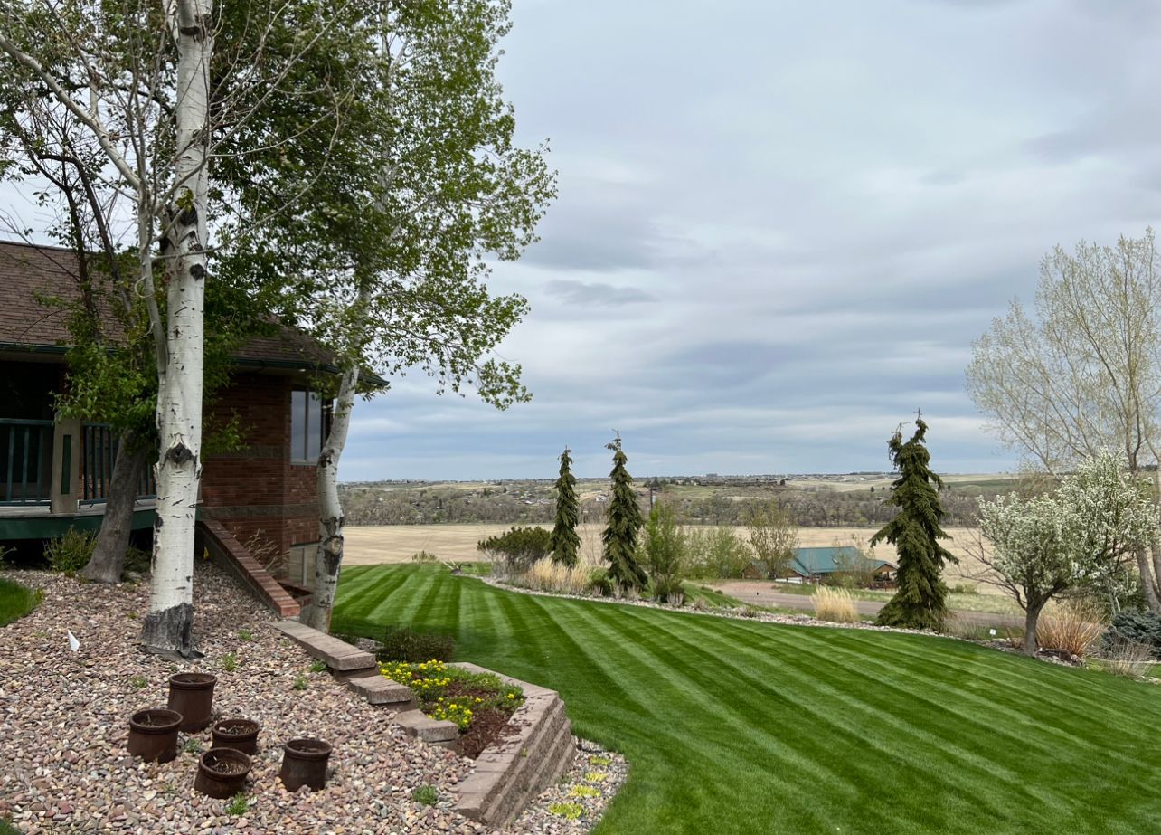 Well-manicured lawn with a view of a field and cloudy sky, next to a house and birch tree.