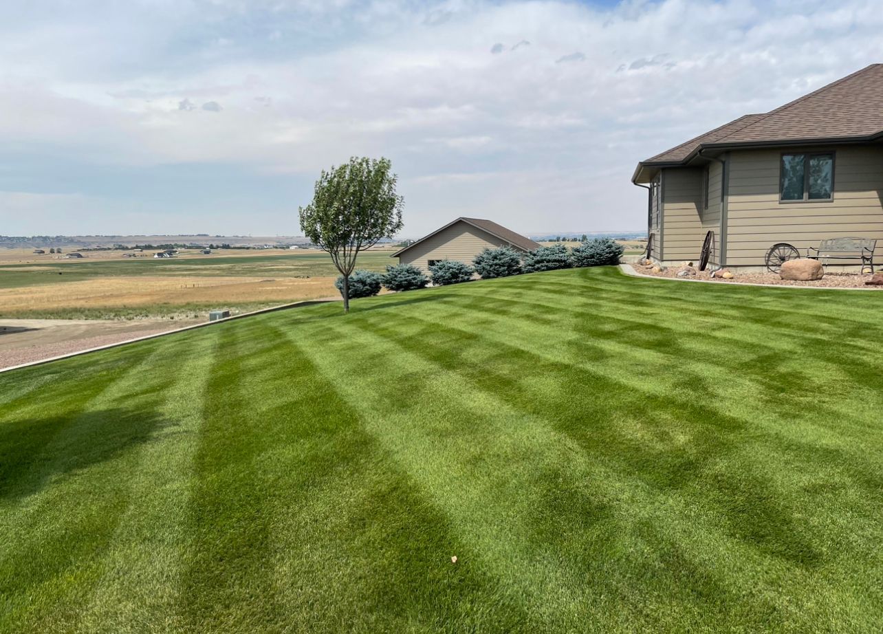 Lawn with striped patterns, a tree, and a house on a hillside under a cloudy sky.