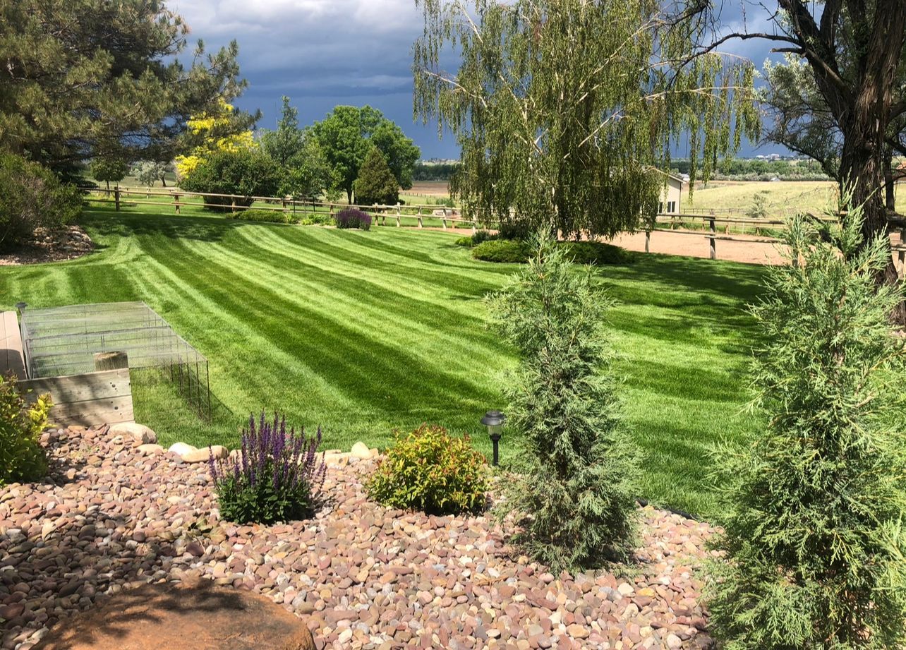 Green lawn with striped mowing pattern, small trees in foreground, distant trees under cloudy sky.