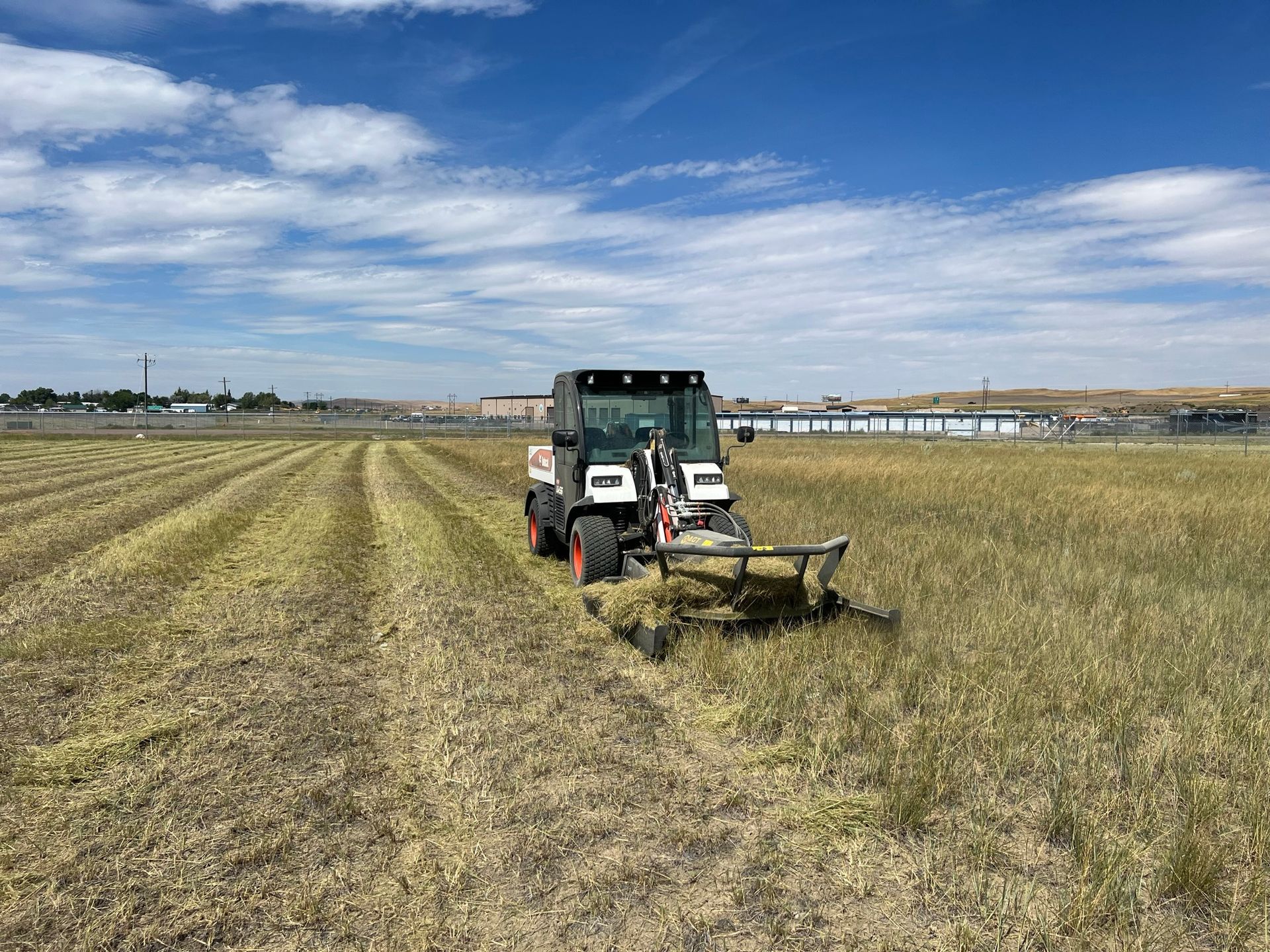 Bobcat tractor mowing a field of tall grass under a blue sky.