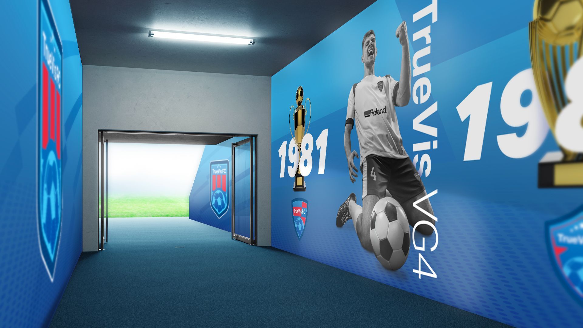 Wall graphics printed with the Roland VG4 Series Printer-Cutter