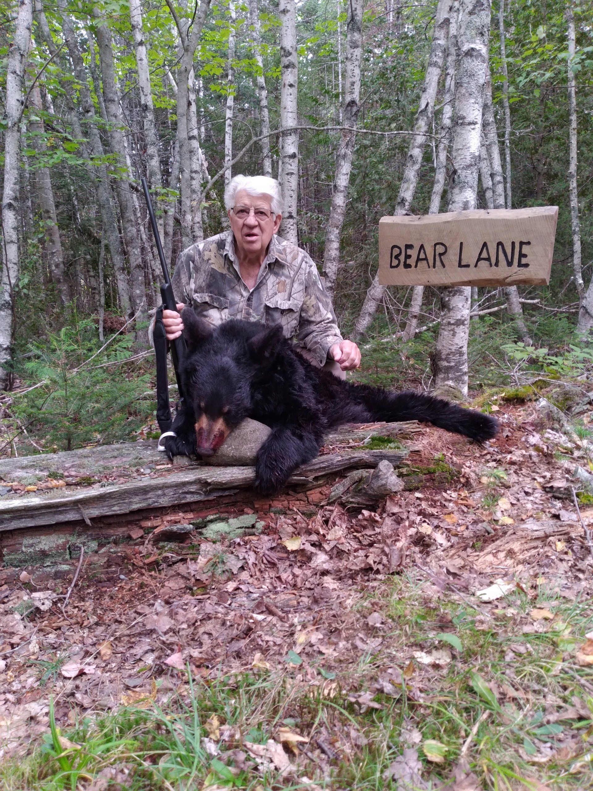 Maine Bear Hunting, Guide, Maine Bear Hunting Outfitter