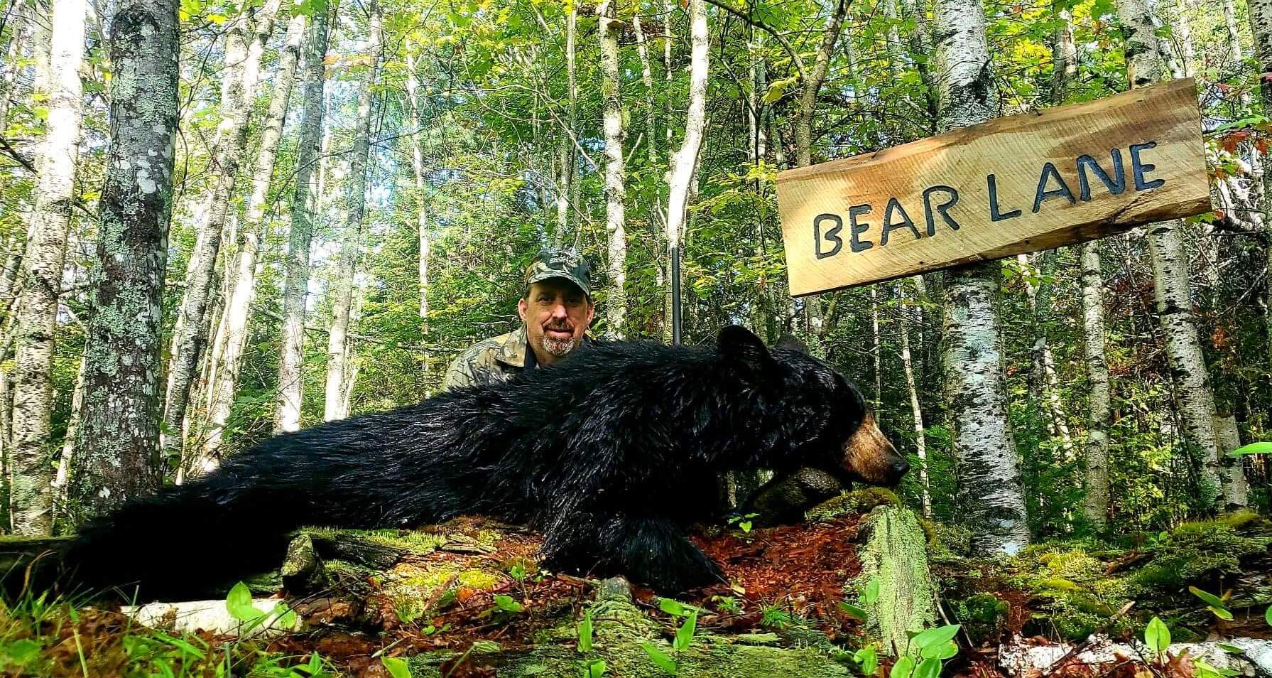 Maine Bear Hunting, Guide, Maine Bear Hunting Outfitter