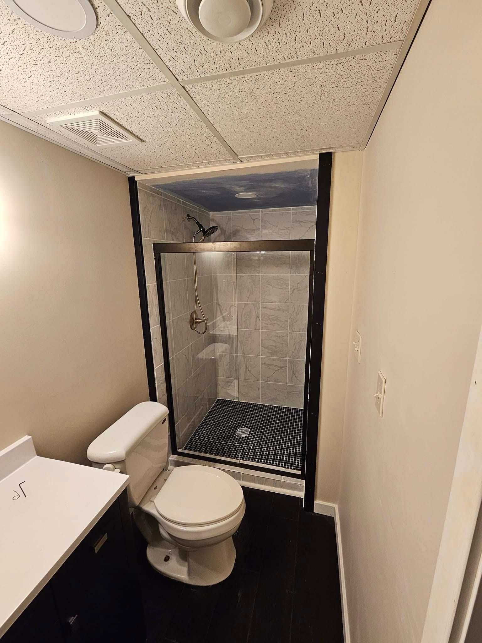 Small bathroom with toilet, sink, shower curtain, and dark floor; narrow hallway-style layout.