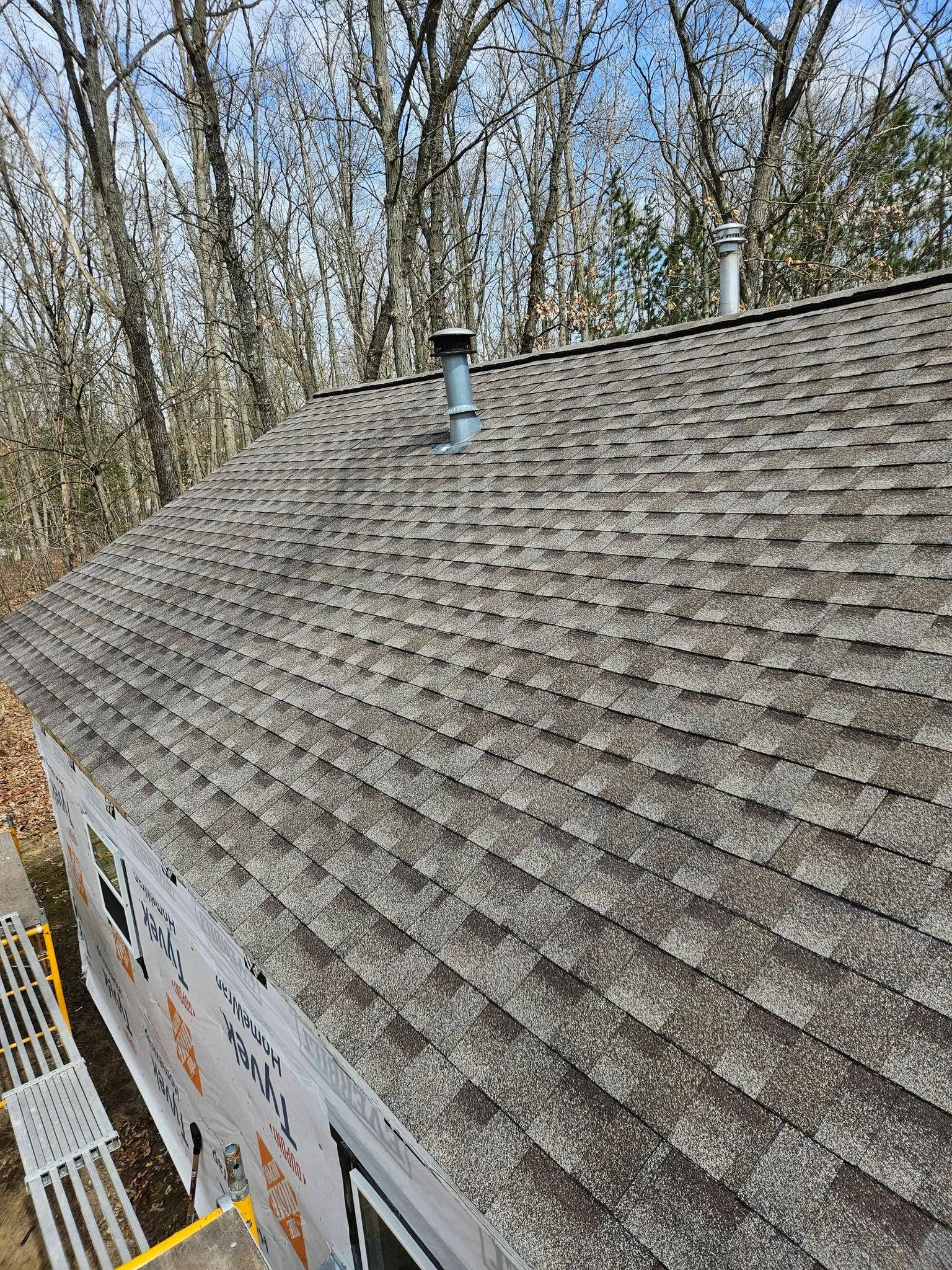Moss-covered shingled roof with a small vent pipe, viewed from above beside leafless trees