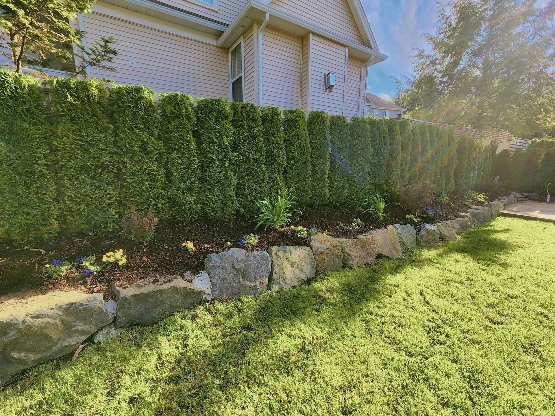 Green hedge and stone border in front of a light-colored brick house with a sunny backyard.
