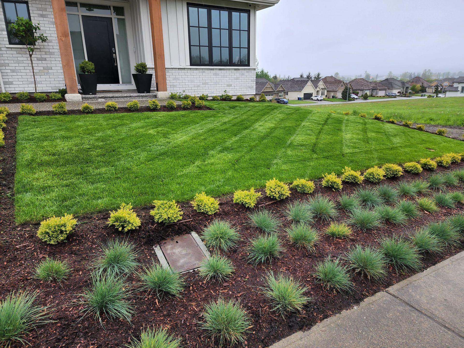 Lush green lawn and garden beds in front of a modern house.