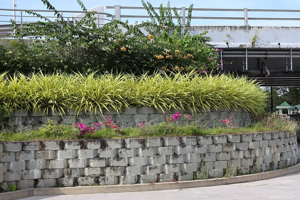 Stone retaining wall with plants and flowers, under a bridge with a pedestrian walkway.