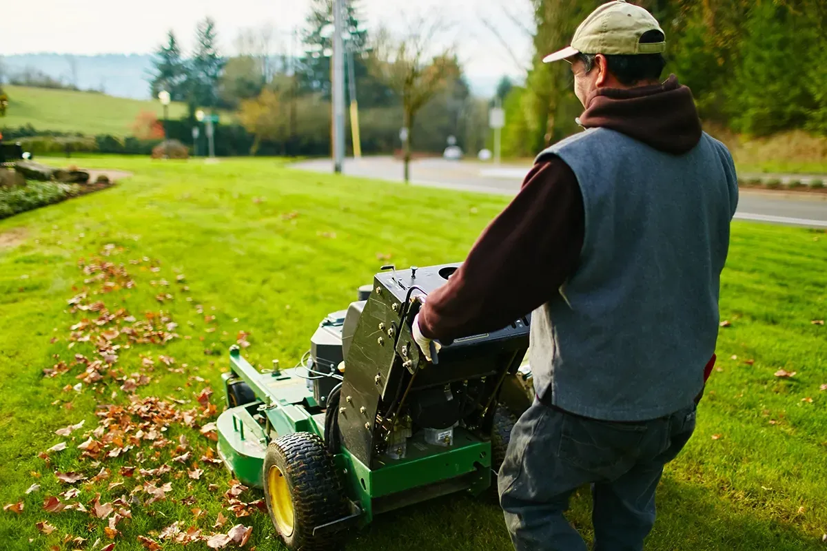 Person using a green lawn mower on a grassy yard, near a road.
