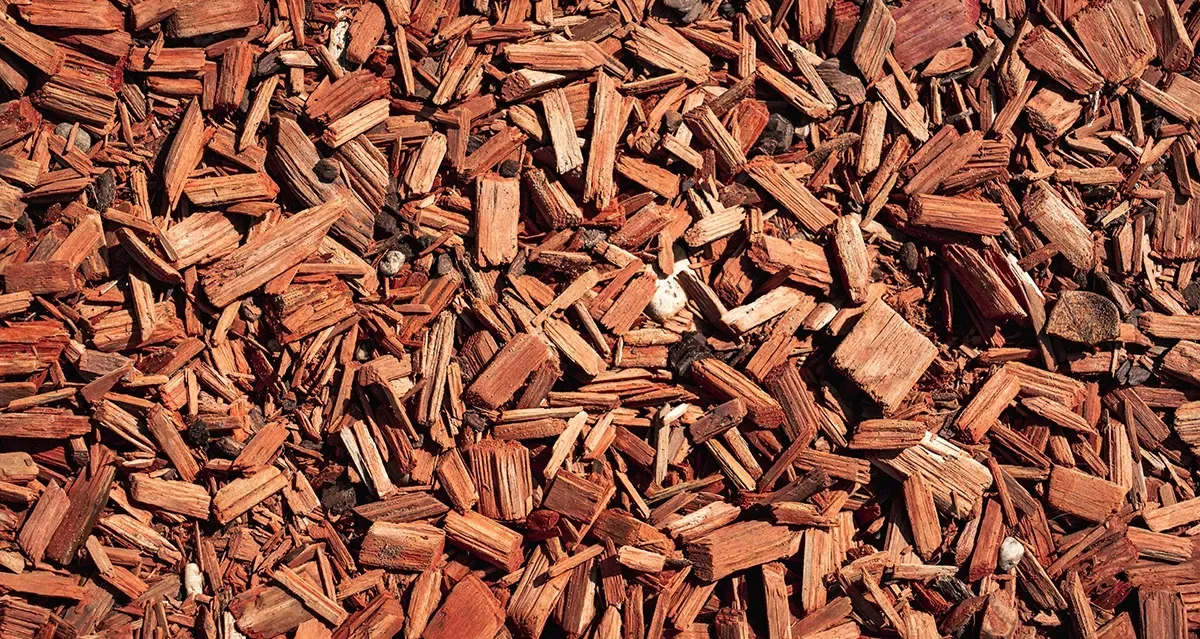Reddish-brown wood mulch covering the ground, comprised of varying sized wood chips.