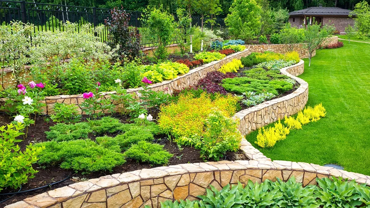 Stone-walled terraced garden with vibrant green, yellow, and purple plants. Lush green lawn and trees in the background.