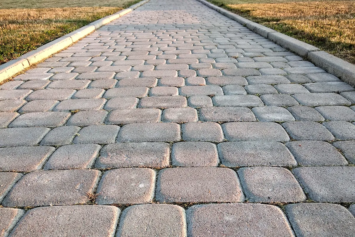 Brick paved walkway, edged by concrete, leads through grass, perspective view.