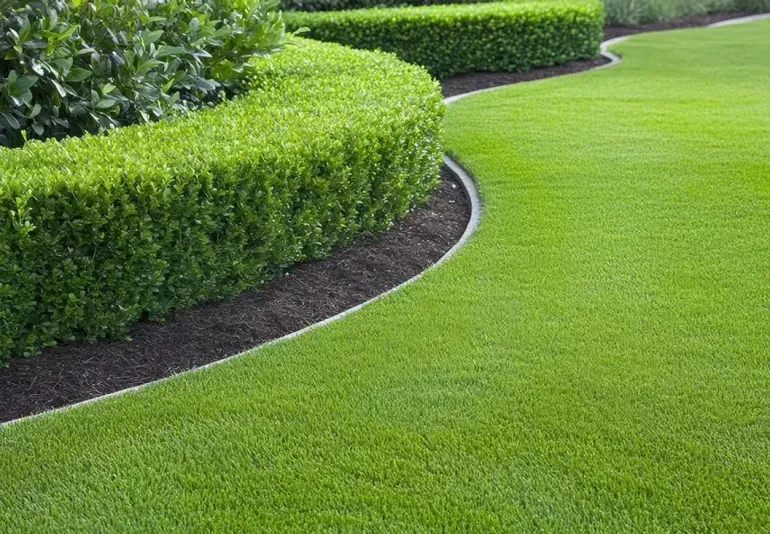 Green lawn with curved hedge border.