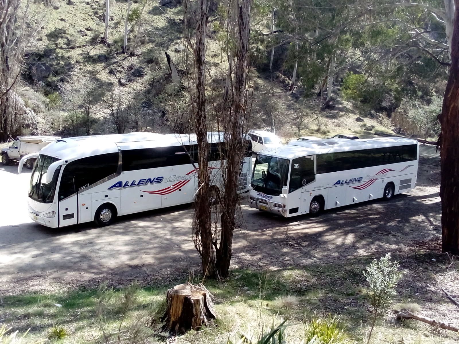 professional from Allens Coaches