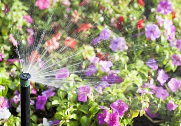 Watering Beautiful Flowers With Sprinkler — Clearwater, FL — Happy Homes and Yards Irrigation & Landscaping