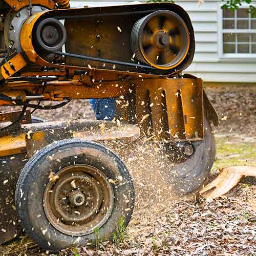 Stump Grinding & Removal — Hyannis, MA — Pro Brighter Landscaping and Masonry