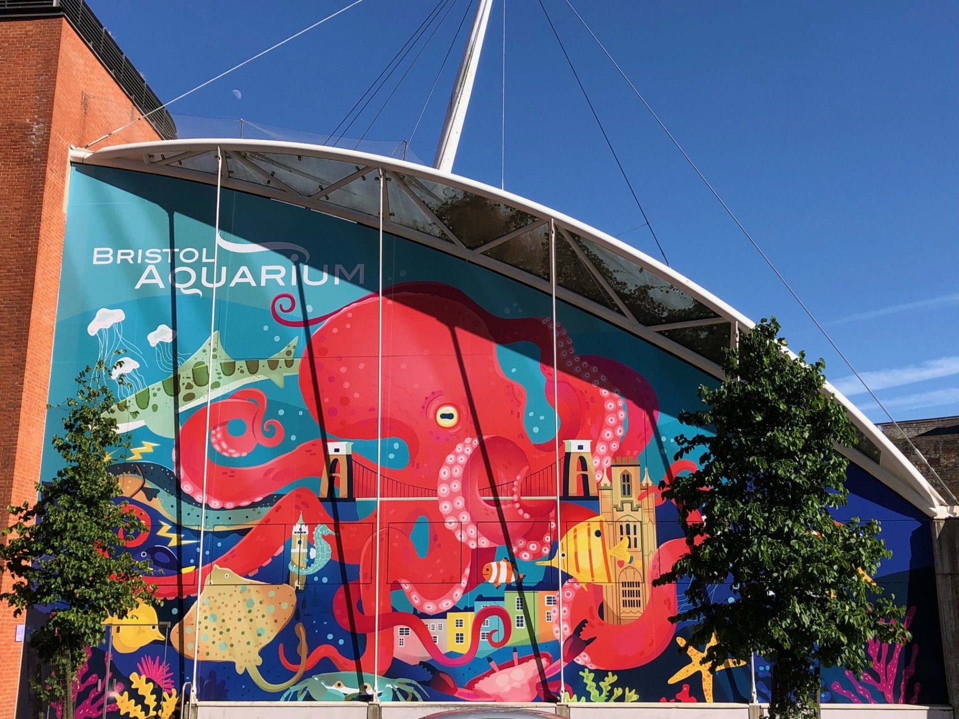 A large mural of an octopus is on the side of a building.