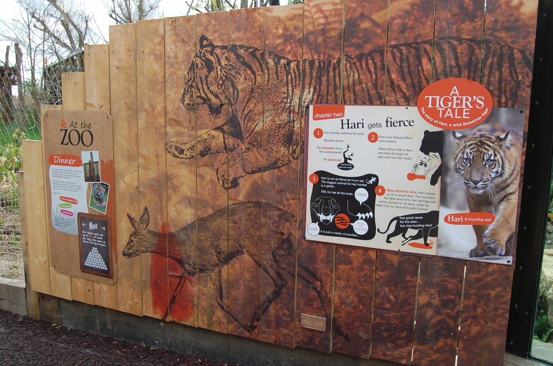 A tiger 's ate sign is on a wooden wall