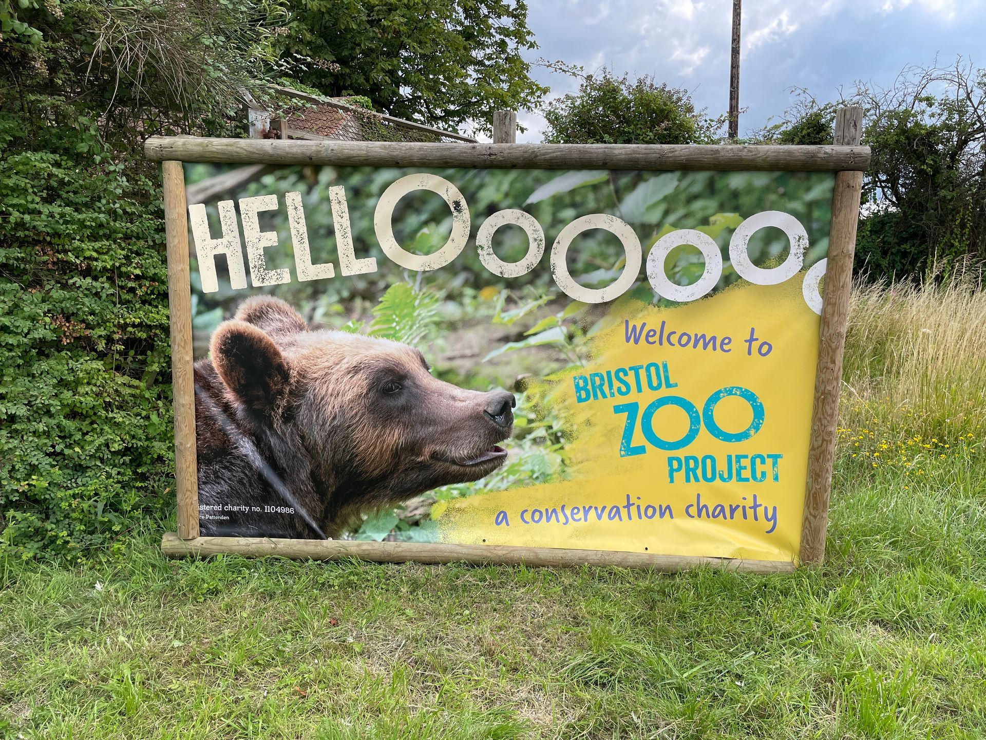 A billboard with a picture of a bear and the words `` welcome to bristol zoo project ''