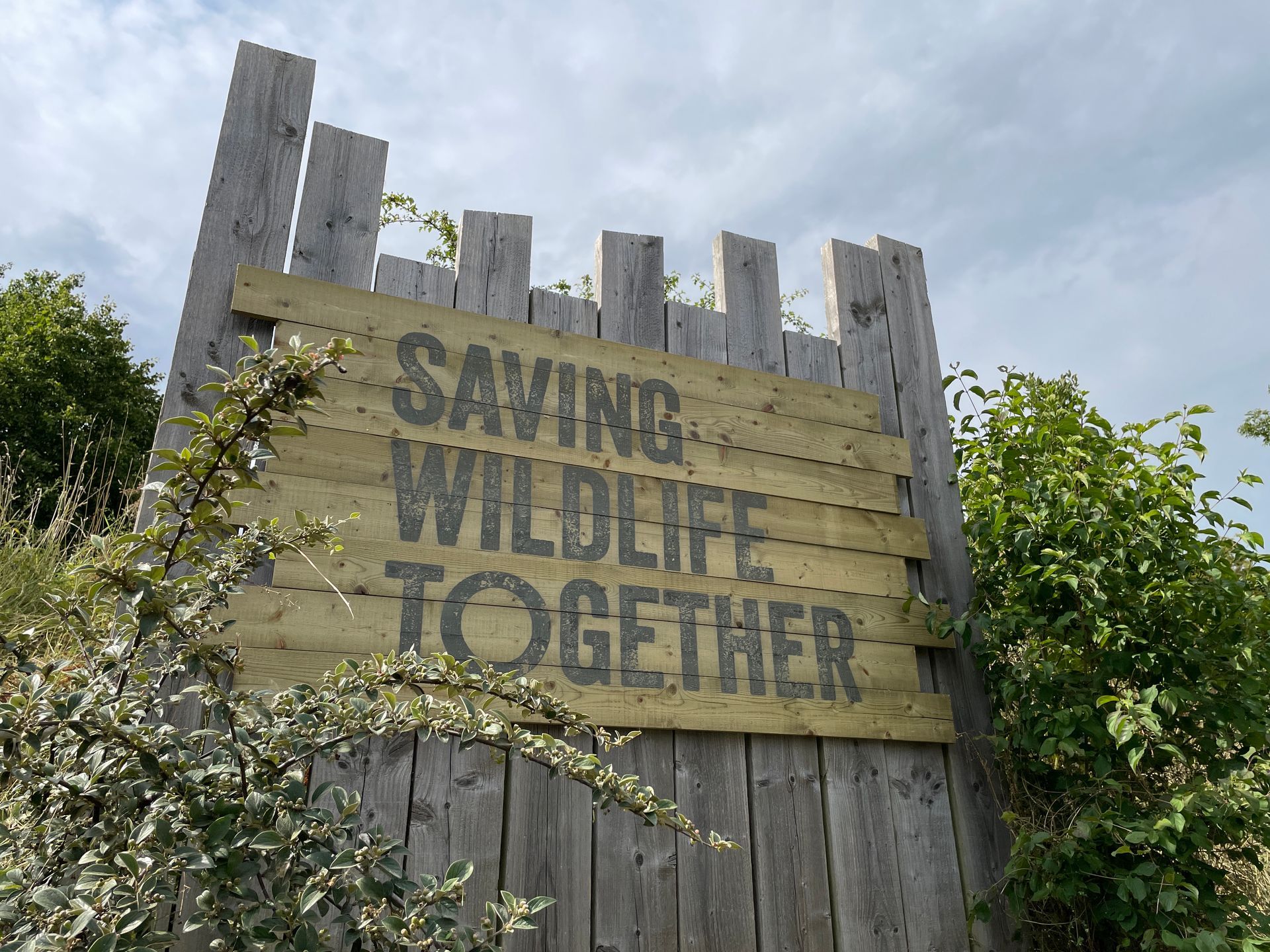 A wooden sign that says saving wildlife together