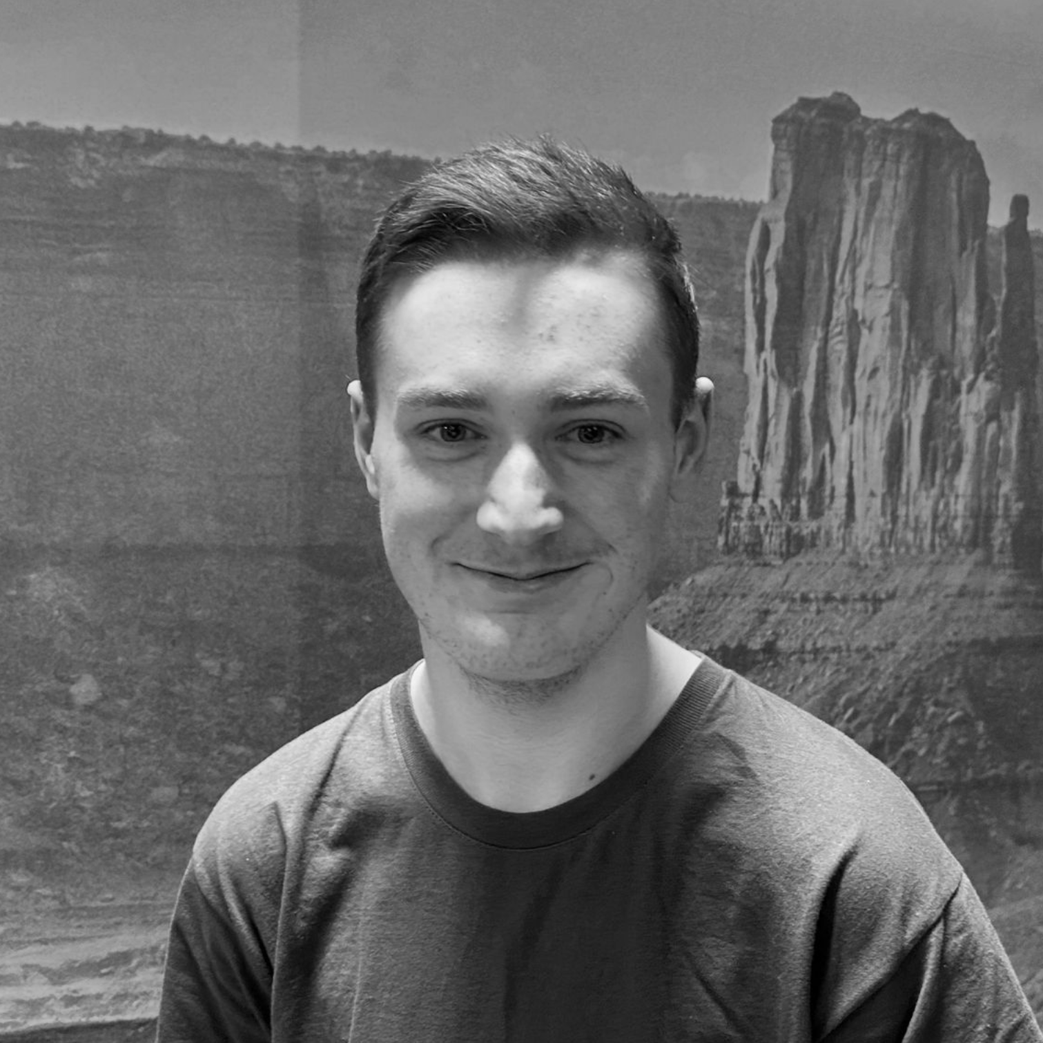 N3 Display Graphics Team Member