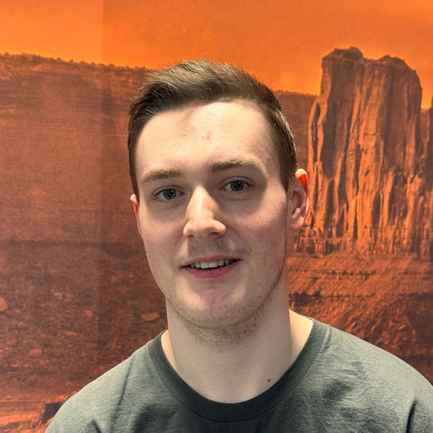 N3 Display Graphics Team Member