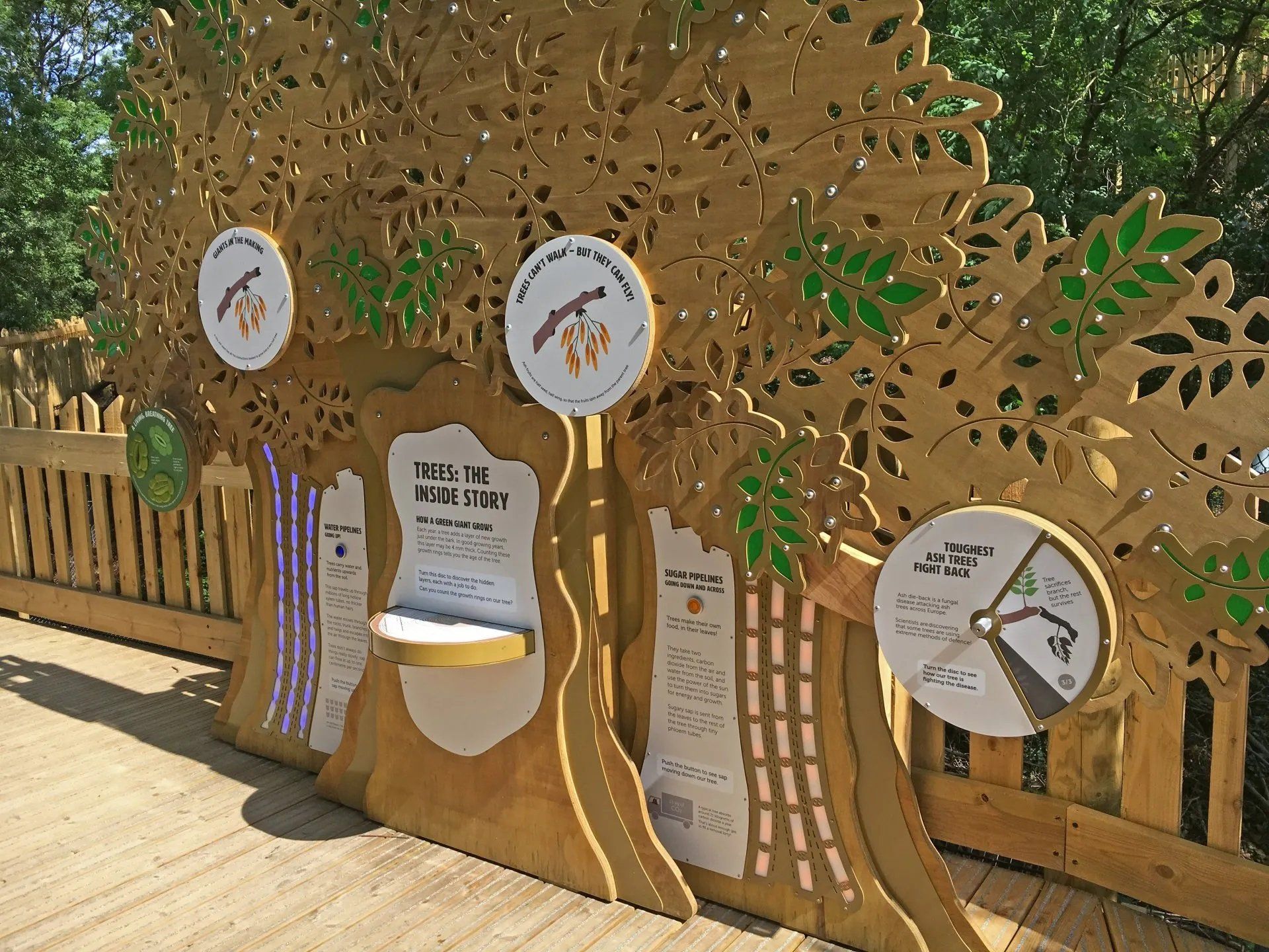 A wooden tree shaped wall with a wooden fence in the background.