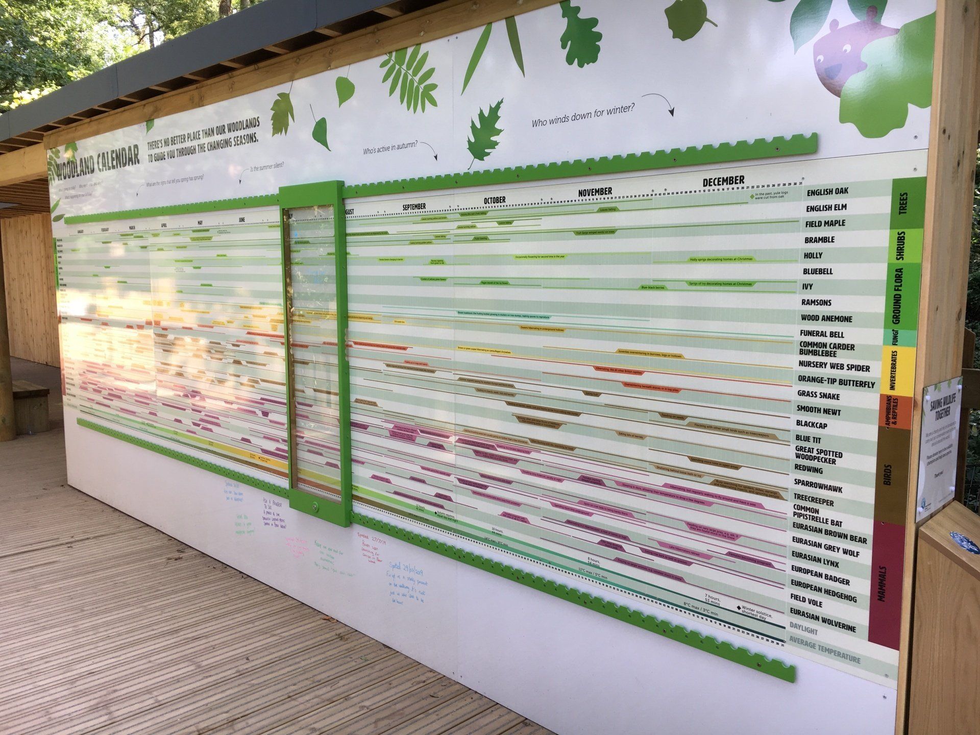 A large wall with a lot of leaves on it