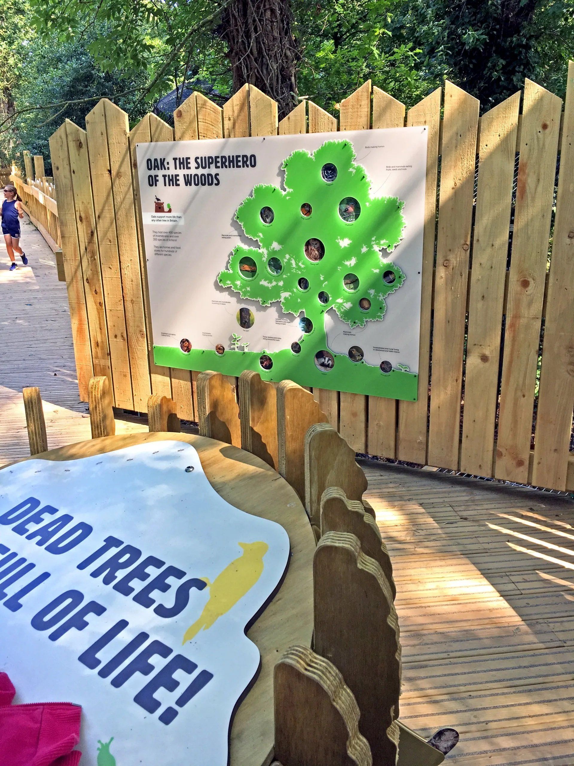 Bespoke way-finding signage and branding for Wild Place Project