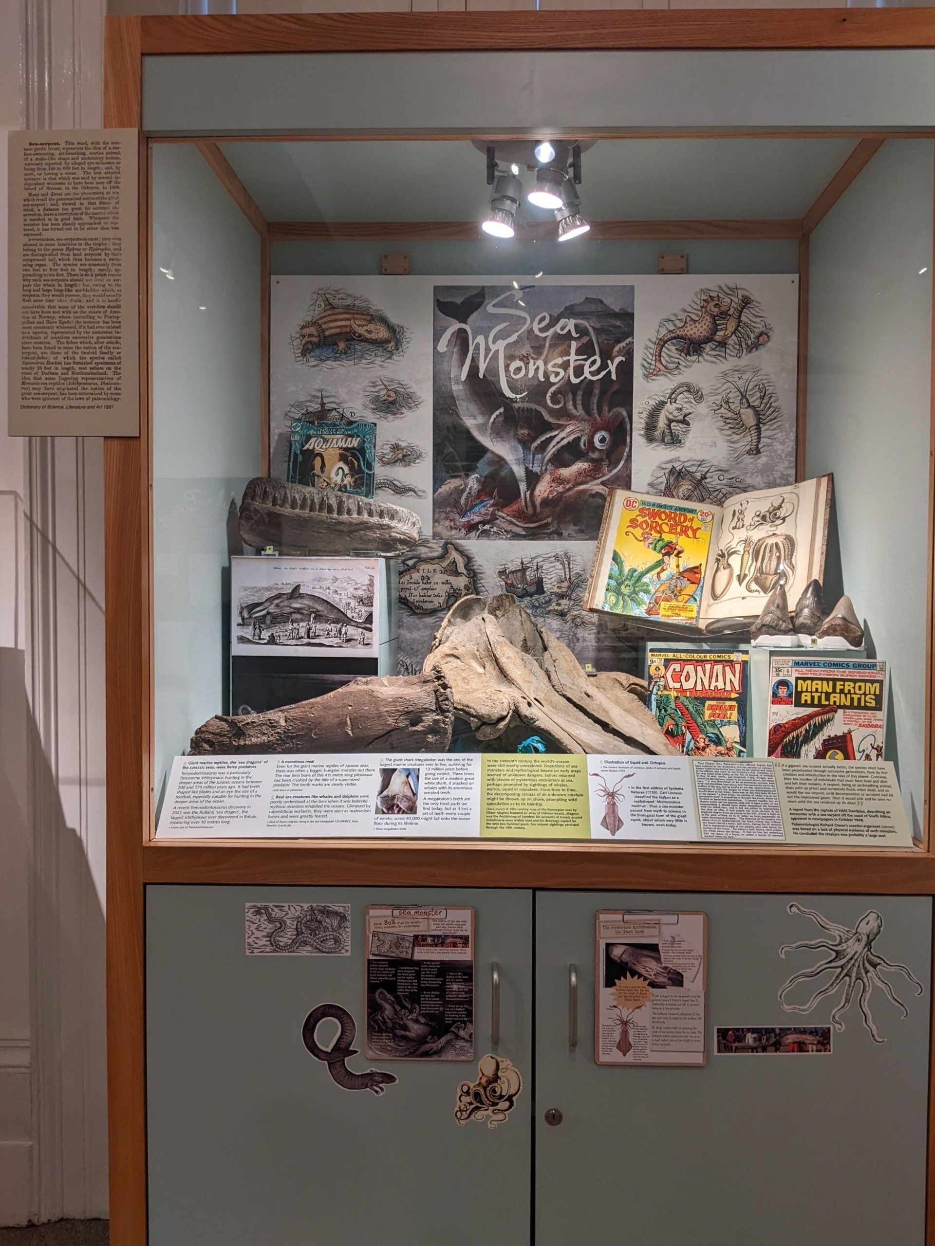 A display case filled with a lot of books and posters.